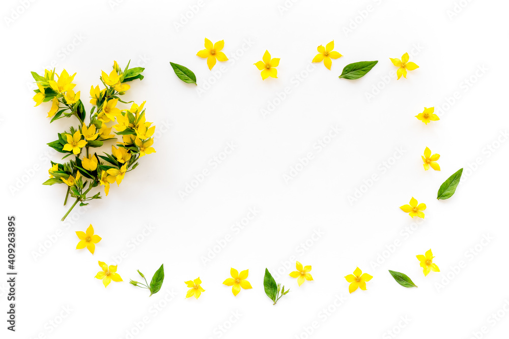 Wild spring flowers top view. Floral frame with space for text Wild spring flowers top view. Floral frame with space for text