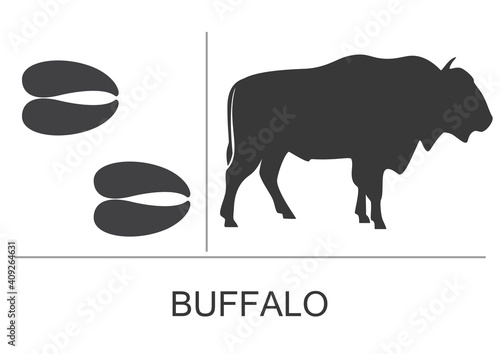 Silhouette and footprints of an American bison(Buffalo). Vector illustration on a white background.