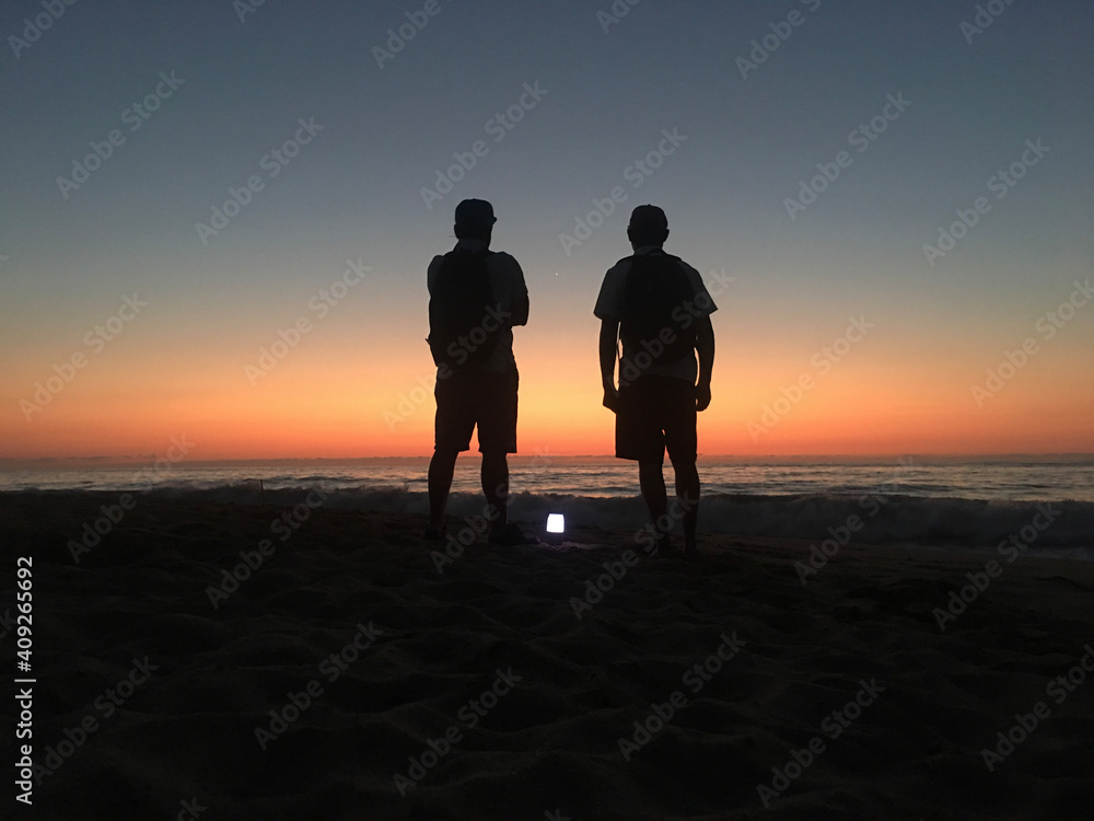 silhouette of a couple walking on the beach