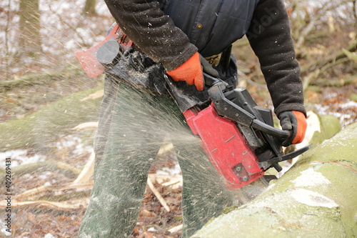 Holzfäller mit Kettensäge zersägt Baumstamm