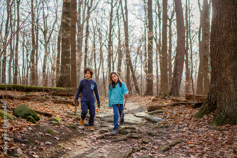 two children walk on path through woods in fall holding walking sticks two children walk on path through woods in fall holding walking sticks