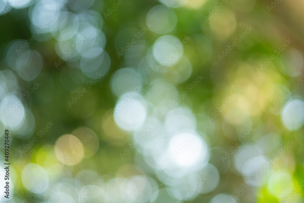 Light of out focus,Blurred background.Bokeh from natural green leaves. Light of out focus,Blurred background.Bokeh from natural green leaves.