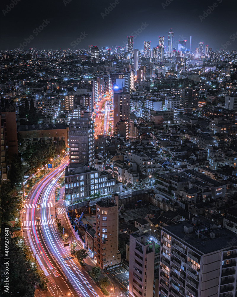 Fototapeta premium Tokyo Night
