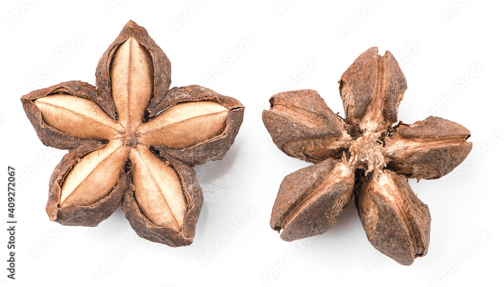 sacha inchi isolated on white background sacha inchi isolated on white background