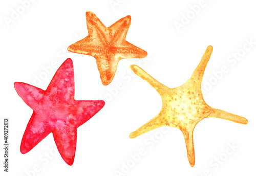 set of watercolor starfish drawing in red orange and sand color different shapes isolated on white background for template design