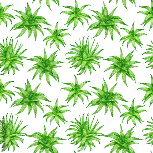 Watercolor aloe vera seamless pattern. Lush evergreen succulent plants painting isolated on white background. Botanical design for cosmetics, package, decoration, herbal medecine, skin care.