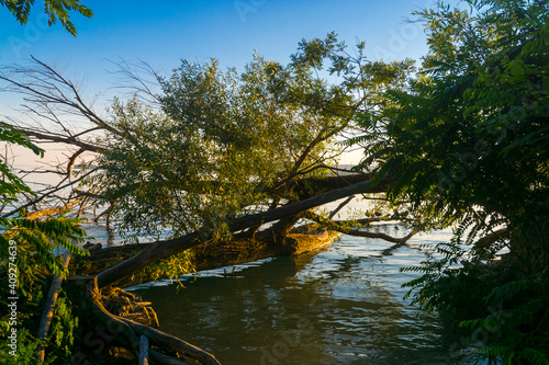 Natural beach of the lake Balaton in Hungary photo