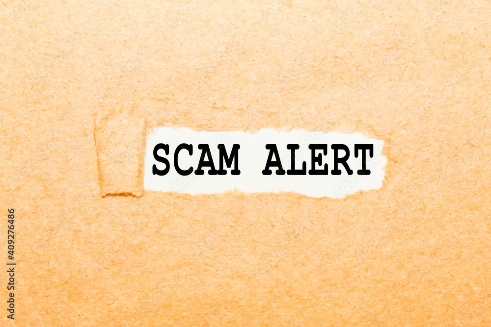 text SCAM ALERT on a torn piece of paper, business concept text SCAM ALERT on a torn piece of paper, business concept