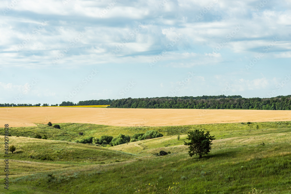 Ukrainian land landscape