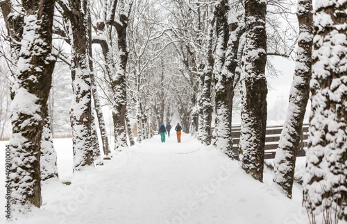 Wanderer bei schneefall in allee.