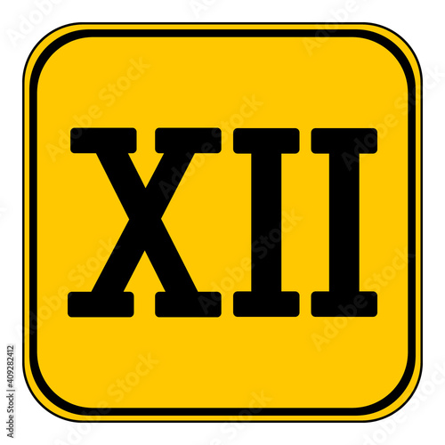 Roman numeral twelve.