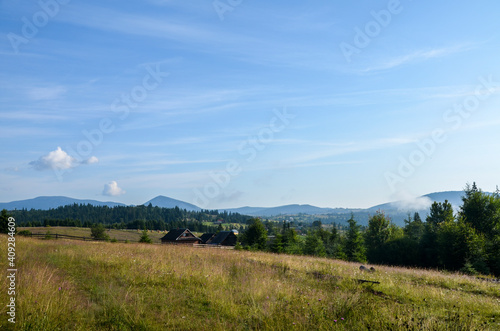 Green meadows with village  forest and surrounded Carpathian mountains in Ukraine. Scenic view of beautiful nature landscape