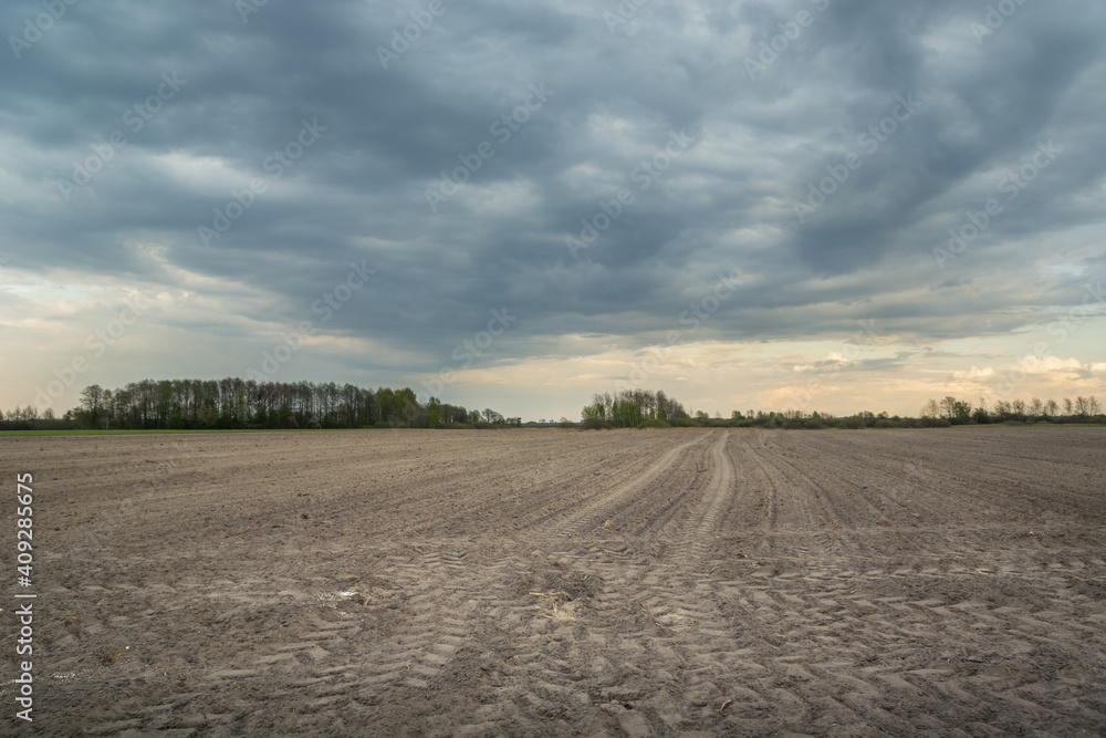 Ploughed field with tractor tracks and cloudy sky