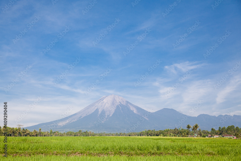 Landscape with rice fields and Agung volcano. Indonesia, Bali.