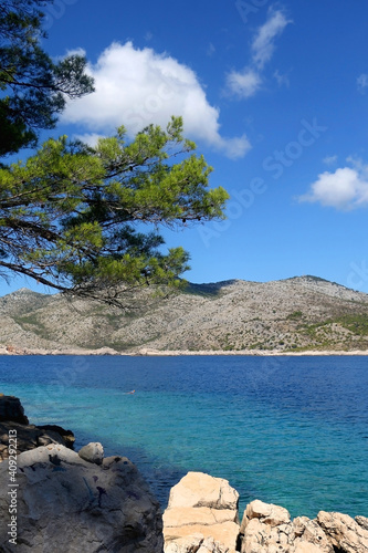 Pine tree on the shore. Picturesque Mediterranean landscape on island Lastovo, Croatia.