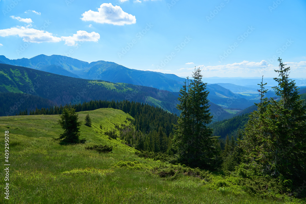 Obraz premium Summer mountain landscape in Poland, the Tatra Mountains. 