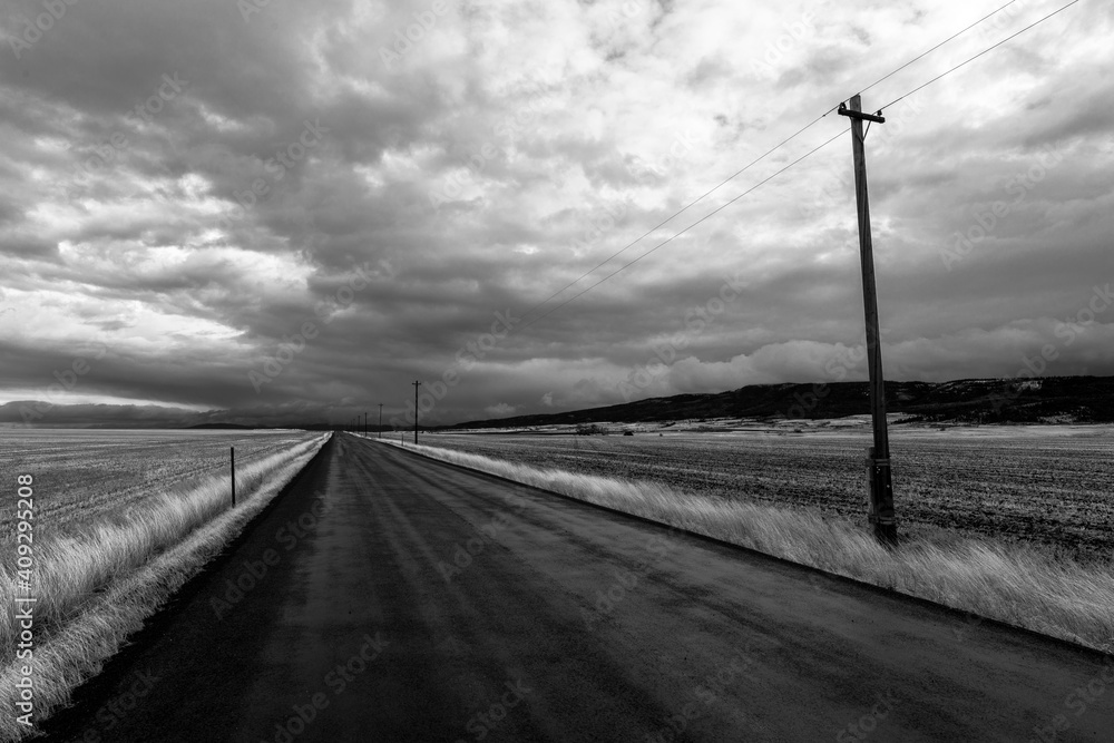 Farm Road on the Camas Prairie, Idaho
