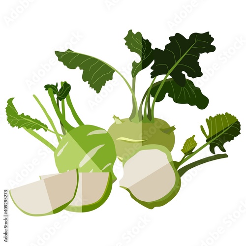 Flat style of kohlrabi set. Fresh organic and healthy, diet and vegetarian food. Vector illustration isolated on white background.