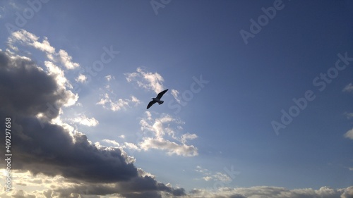 flight over the clouds © Wadim