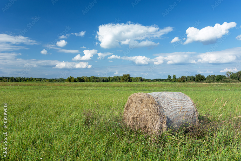 Hay bale lying in green grass in the meadow