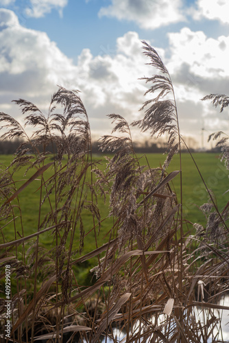 Polderpark Cronesteyn large park in the city of Leiden in the Dutch province of South Holland photo