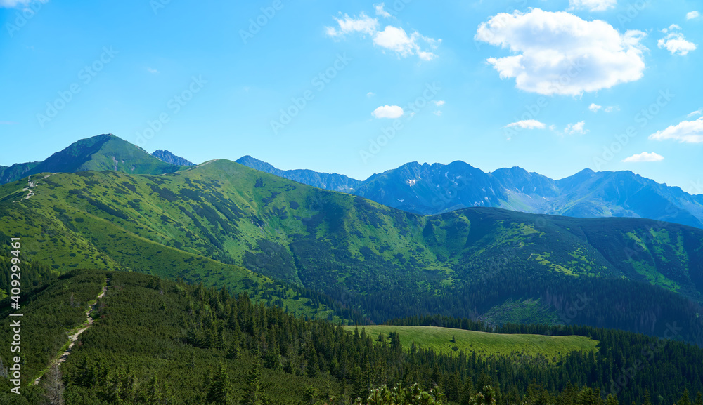 Summer landscape. Mountain path in the Tatra Mountains. Poland. 