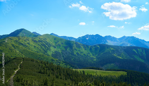 Summer landscape. Mountain path in the Tatra Mountains. Poland. 