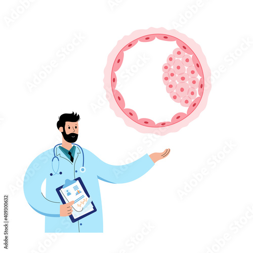 Embryo cell anatomy