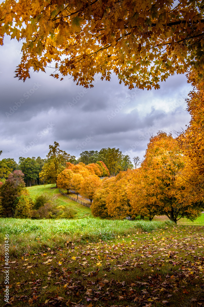Naklejka premium Autumn in the park