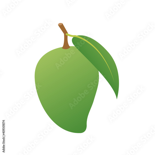 Raw mango vector. Raw mango on white background. Green mango.