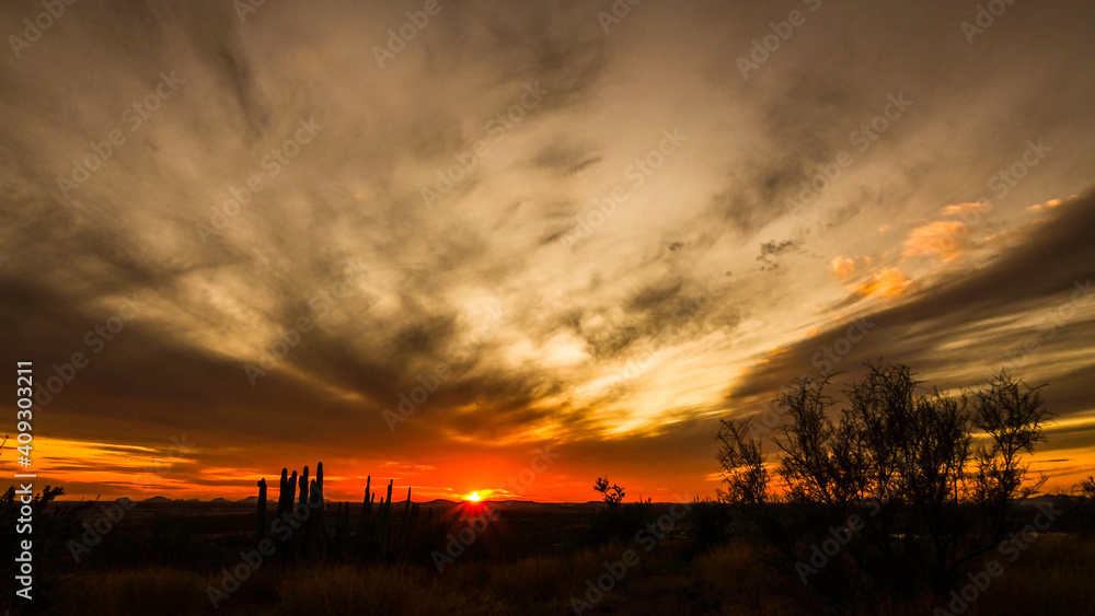 sunset in the desert