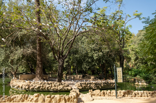 Árbol lleno de pájaros
