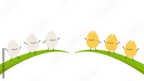Rice character design. rice vector on white background. rice seed.