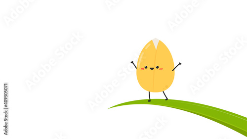 Rice character design. rice vector on white background. rice seed.