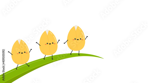 Rice character design. rice vector on white background. rice seed.