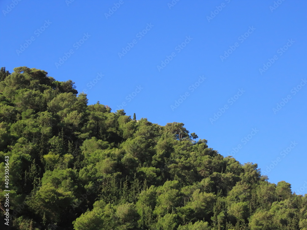 Beautiful view of the forest on Mount Carmel against the blue sky in winter in Haifa in Israel. The photo can be used as a banner for advertising. There is room for text.