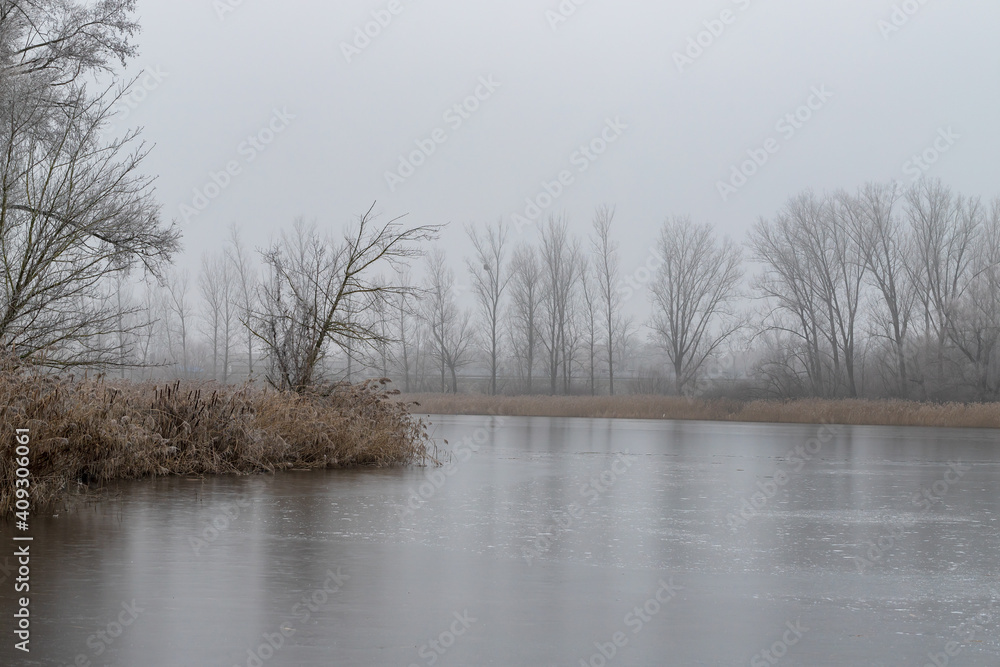 Frozen winter pond. there are trees and reeds around. There is a dark sky and fog over the pond. Frozen winter pond. there are trees and reeds around. There is a dark sky and fog over the pond.