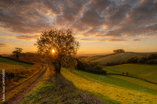 Countryside