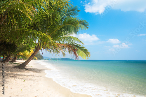 tropical beach with coconut palm tree