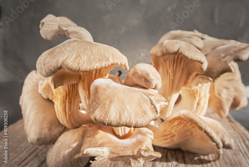 Oyster mushroom harvest lies on an old wooden table, close up with copy space, gray neutral background. Horizontal frame of fresh tasty mushrooms for healthy cooking