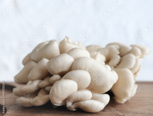 Bunch of brown fresh raw oyster mushrooms on wooden cut board. concept of veggie and raw food. selective focus. vegetable diet. protein and fiber source.