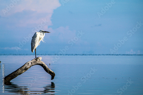 Tableau sur toile Soledad