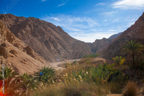 mountains in the desert