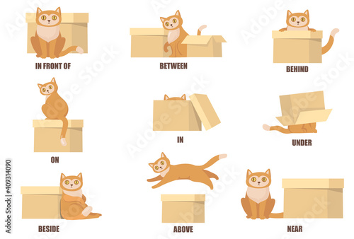 Learning prepositions with help of cat and box flat set for web design. Cartoon cat above, behind, between, near and under box isolated vector illustration collection. English vocabulary concept