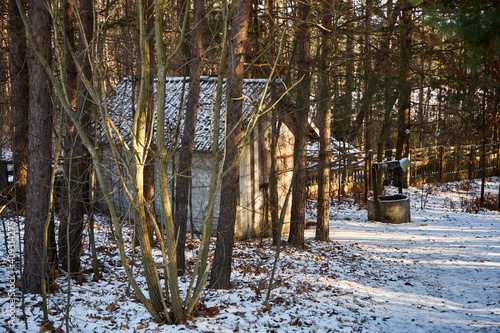 Fototapeta Naklejka Na Ścianę i Meble -  zimowe drzewa, mały domek 