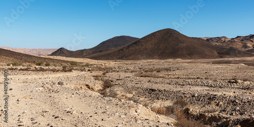 basalt hills that are remnants of ancient volcanoes rise above the creamy limestone landscape of the makhtesh ramon crater in israel with a clear blue sky background