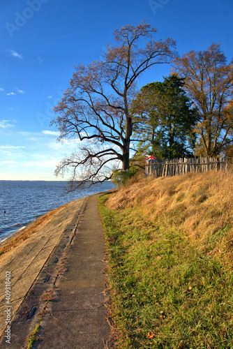 Sea Wall leading around a corner marked by a tree