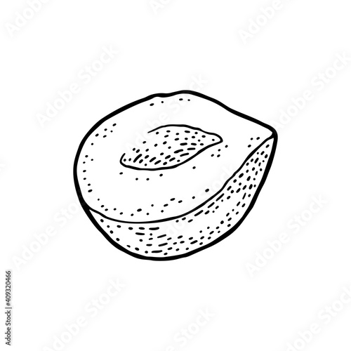 Half hazelnut. Vector black engraving vintage illustration on white