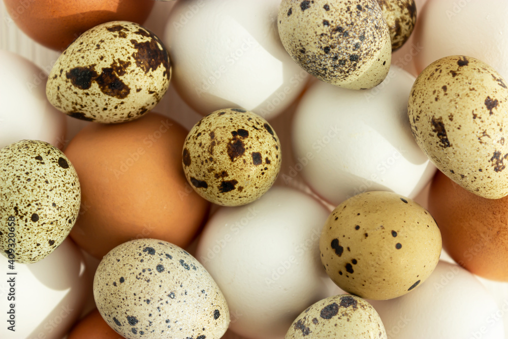 Background with chicken and quail eggs. Easter, holiday. Background with chicken and quail eggs. Easter, holiday.