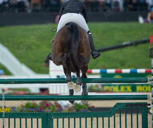show jumper horse jumping a fence shot from behind with hind end hocks and hooves with shoes on visible show jumping fence with green rails horizontal format photo